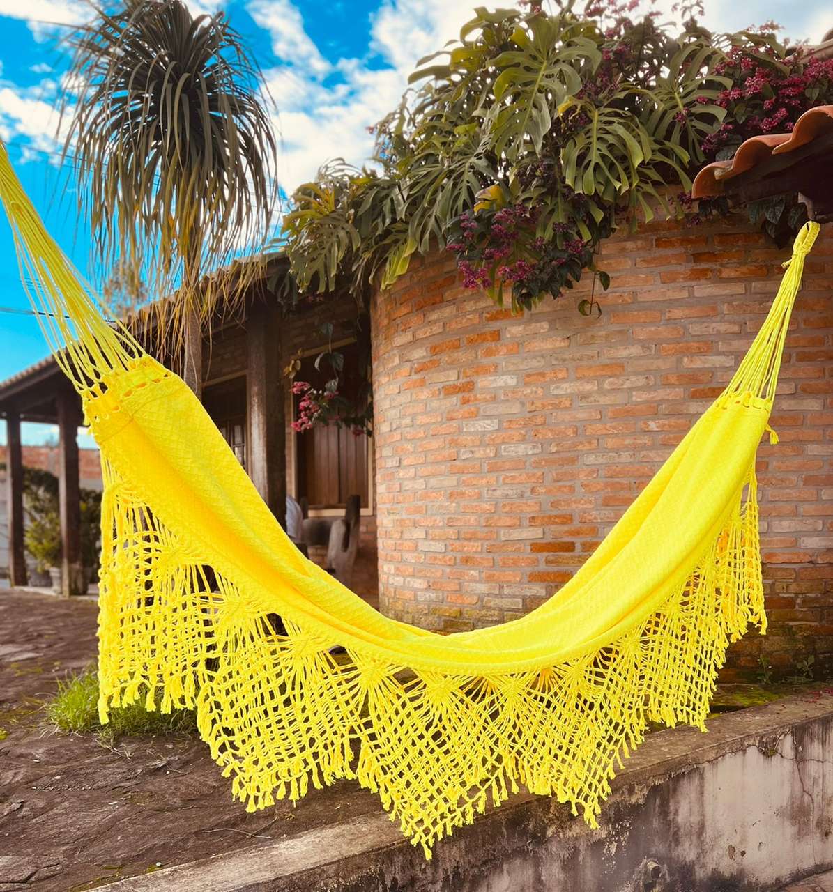 WhatsApp Image 2022-06-08 at 15.19.17